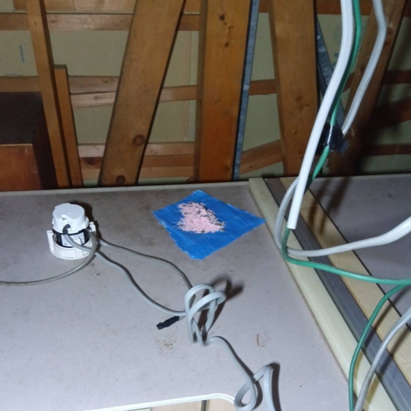 殺鼠剤を仕掛けている様子