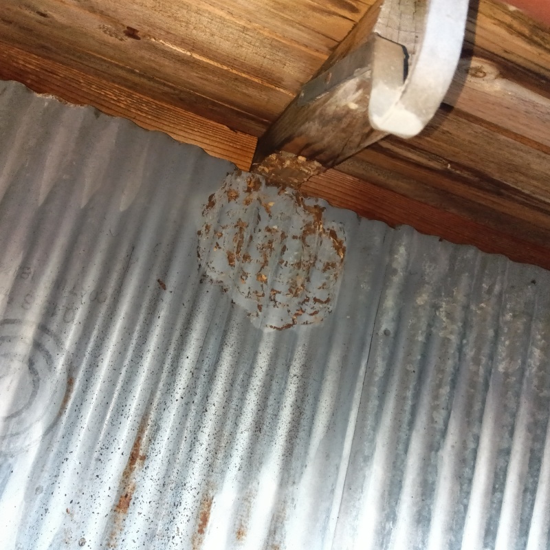蜂の巣を撤去したあと