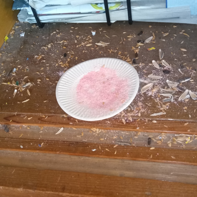 ネズミ駆除の施工事例（広島県福山市今津町）