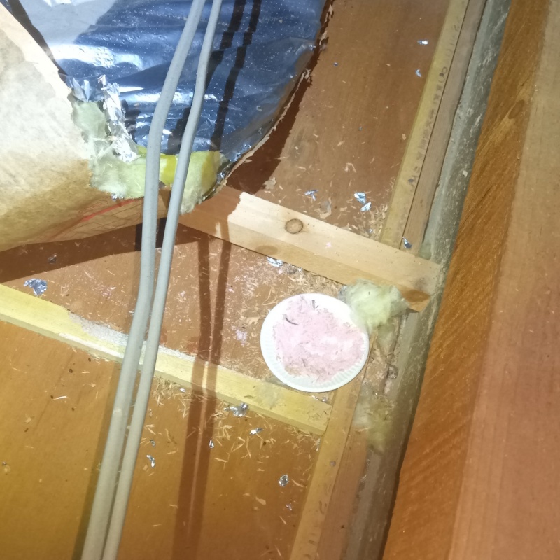 天井裏に殺鼠剤を設置