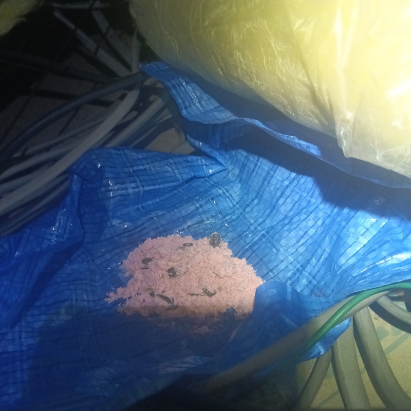 天井裏に殺鼠剤を設置