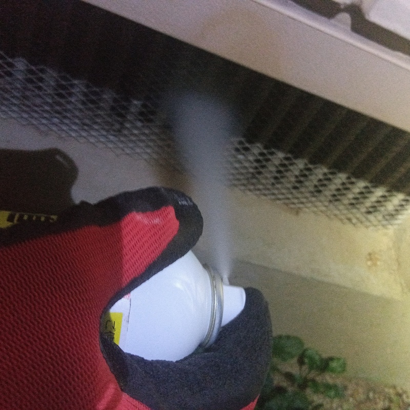 床下換気口から忌避剤をスプレー