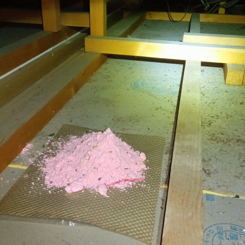 天井裏に殺鼠剤を設置