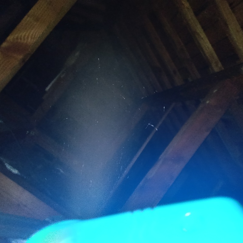 噴霧器で殺虫剤を散布
