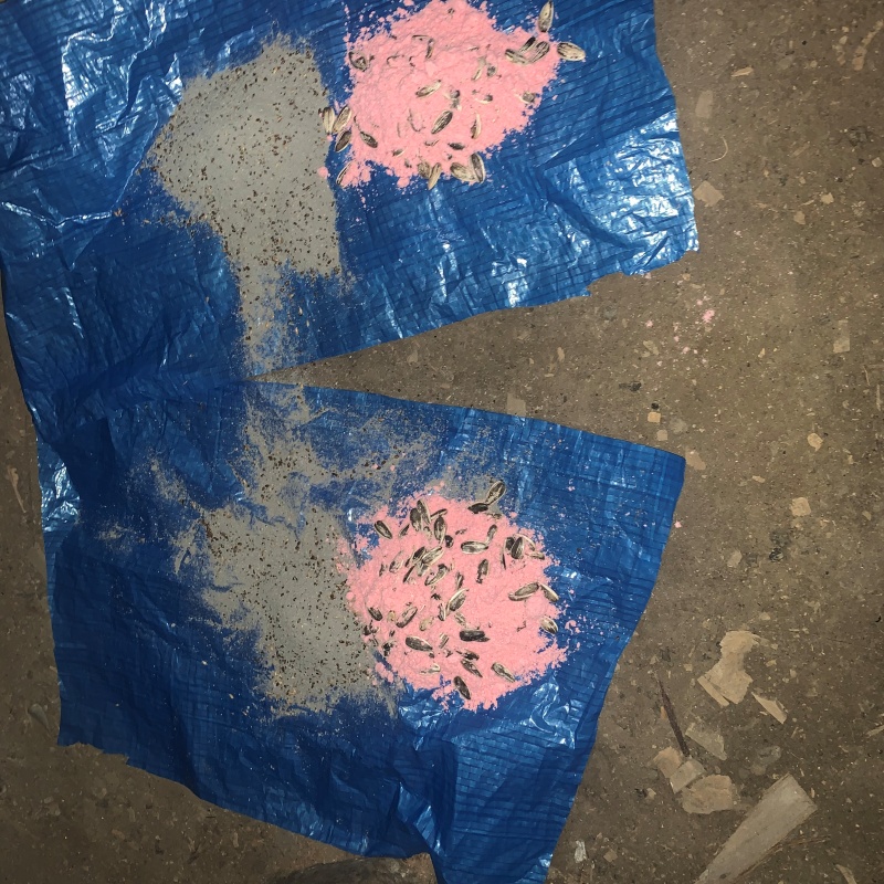 床下に殺鼠剤を設置