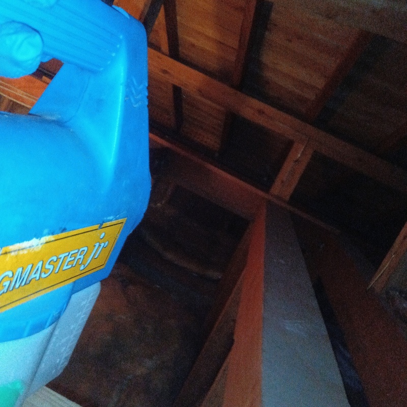 噴霧器で除菌・消臭剤を散布