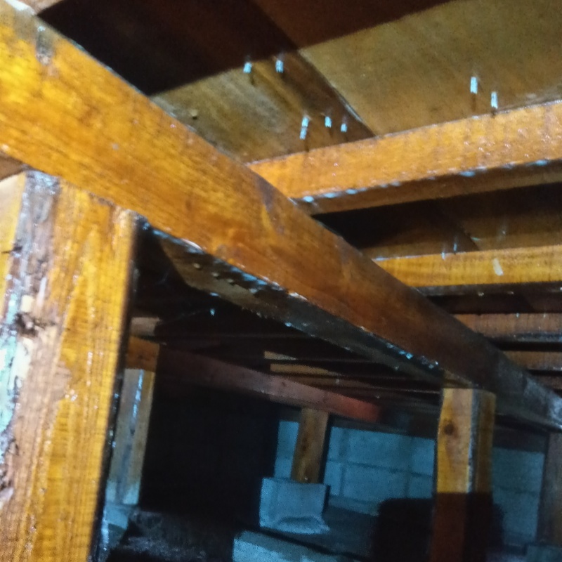 シロアリ駆除の施工事例（山口県山陽小野田市須恵東）