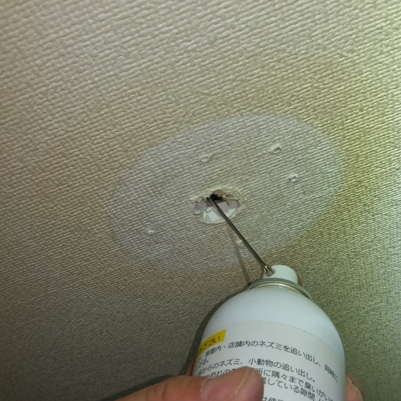 すき間に忌避剤を散布