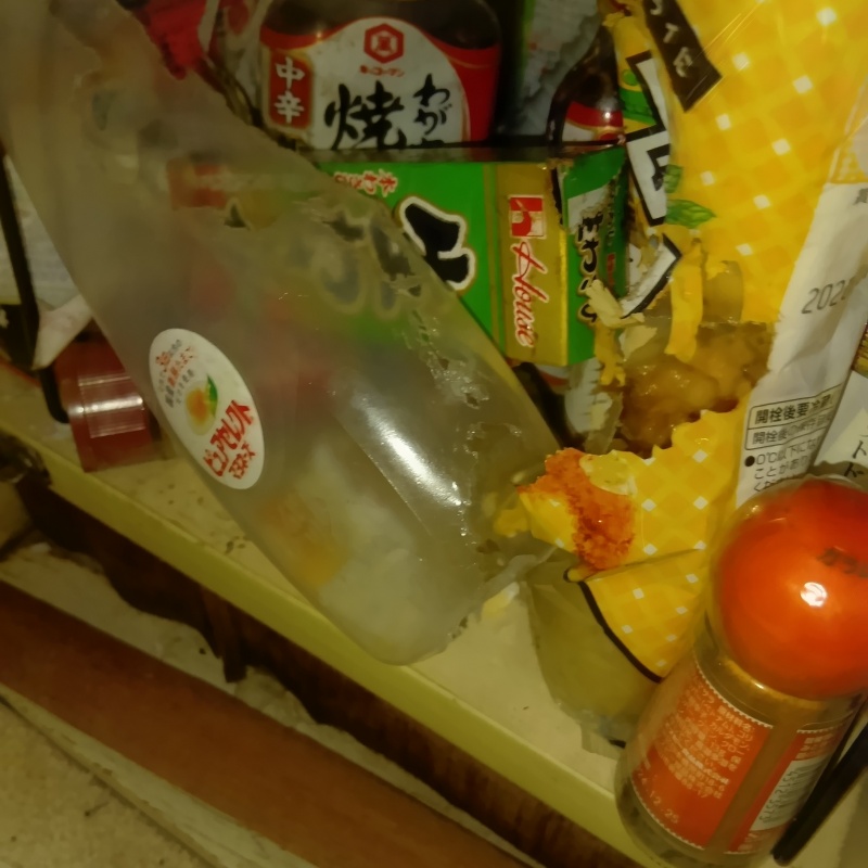 ネズミ駆除の施工事例（千葉県千葉市若葉区桜木北）
