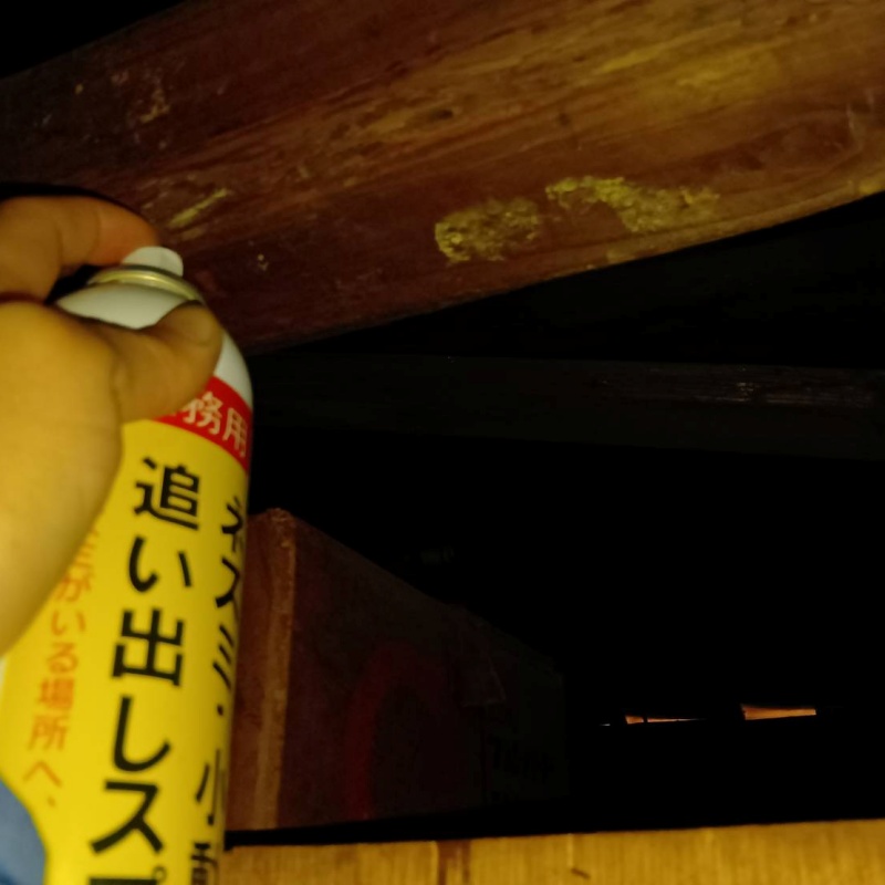 屋根裏に忌避剤を散布する様子
