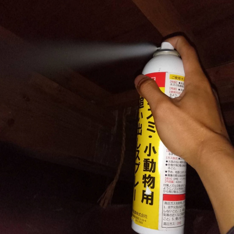 屋根裏に忌避剤を散布する様子