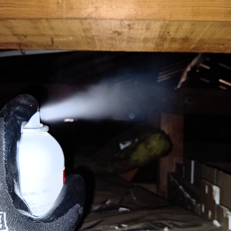 屋根裏に忌避剤を散布する様子