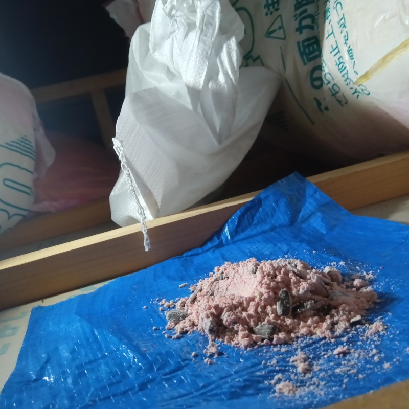 屋根裏に殺鼠剤を設置した様子