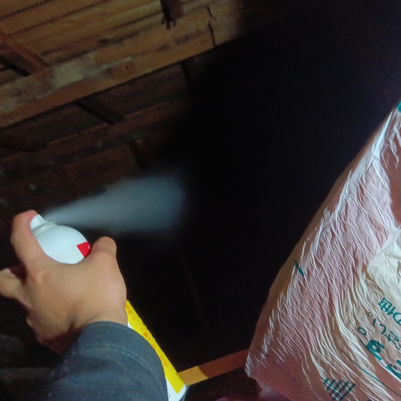屋根裏に忌避剤を散布する様子