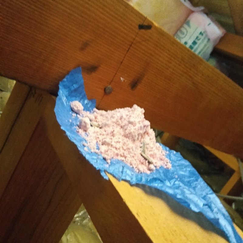 屋根裏に殺鼠剤を設置した様子