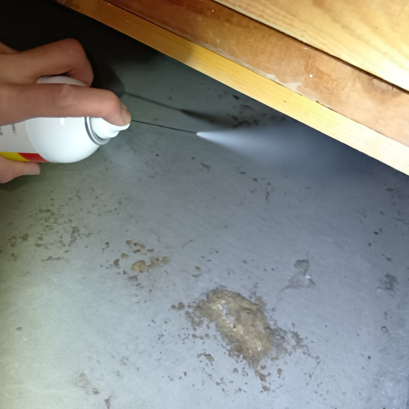 床下に忌避剤を散布する様子