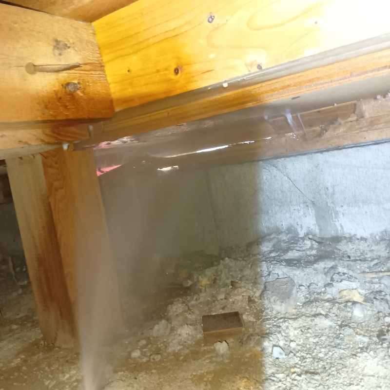 床下の木材にシロアリ駆除剤を散布する様子
