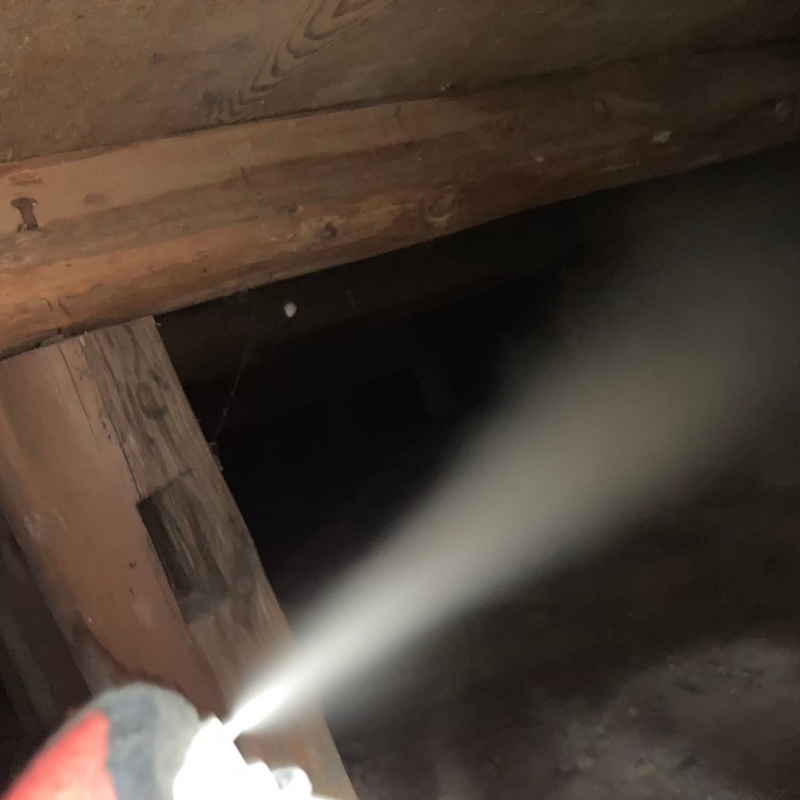 屋根裏に忌避剤を散布する様子