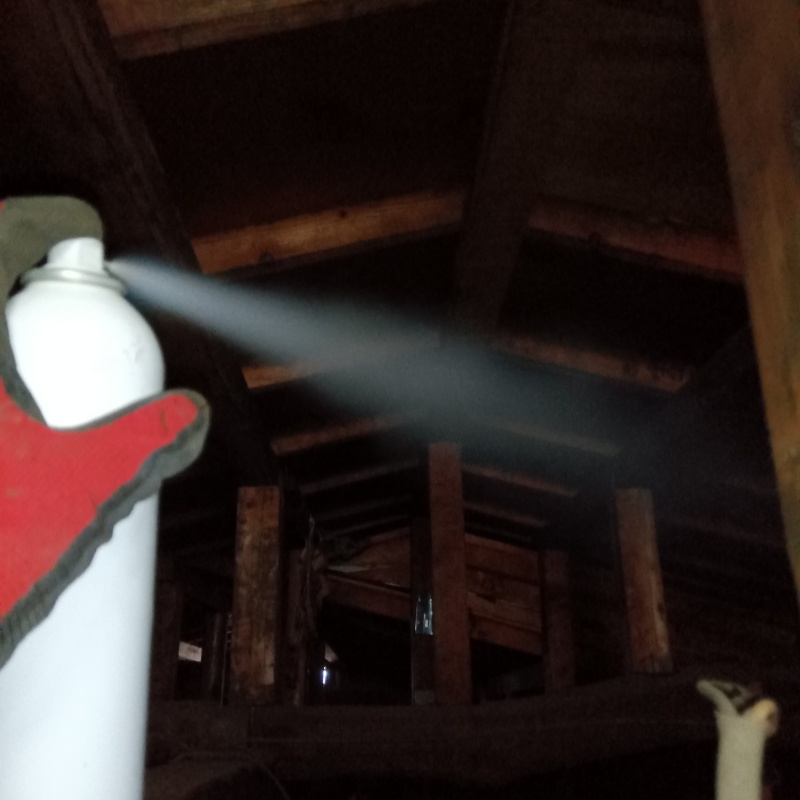屋根裏に忌避剤を散布する様子