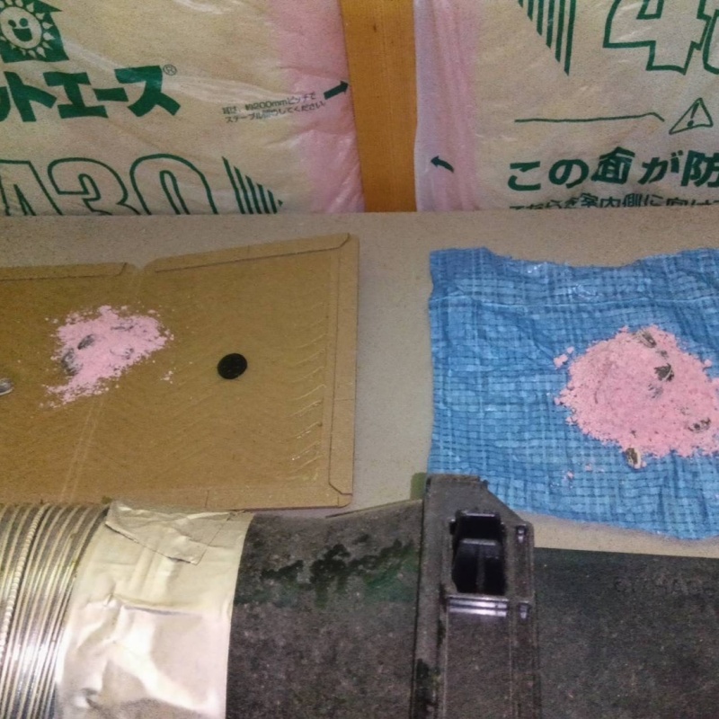 天井裏に殺鼠剤と粘着シートを設置した様子