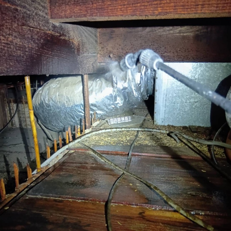 屋根裏に除菌・消臭剤を散布する様子
