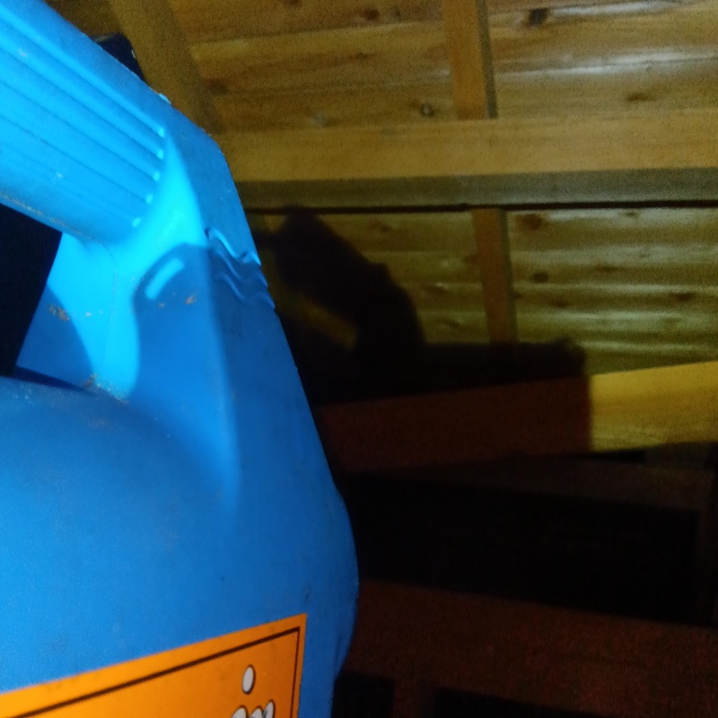 噴霧器で除菌剤を散布