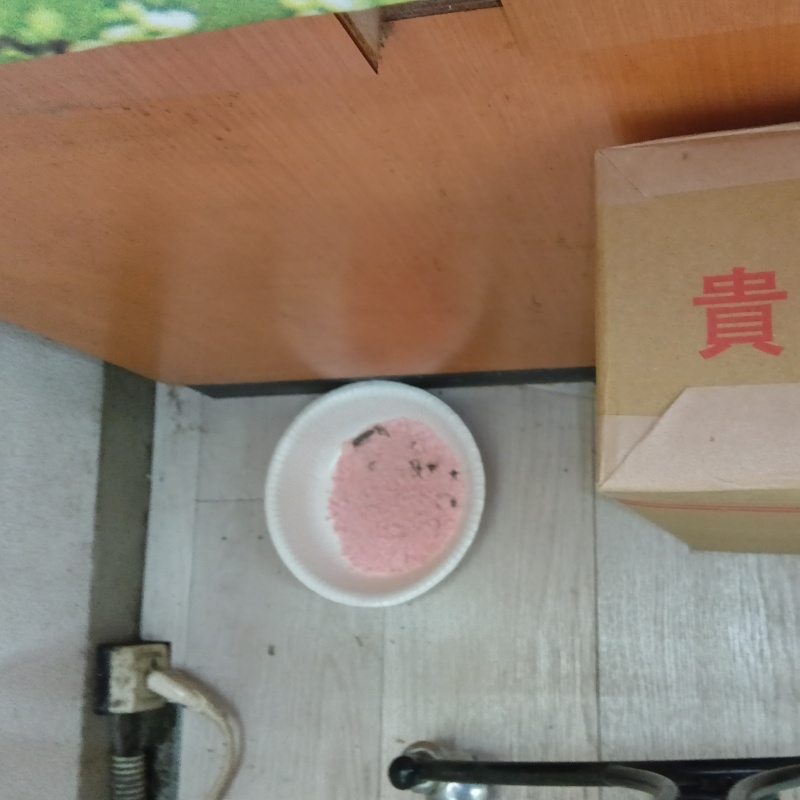 トレーの上に殺鼠剤を設置