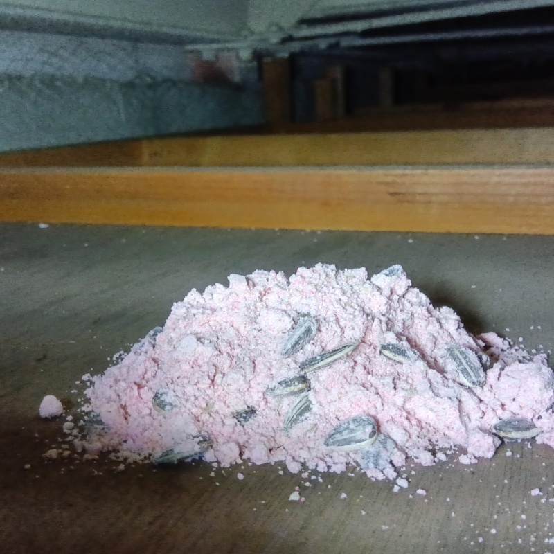 殺鼠剤を仕掛けている様子