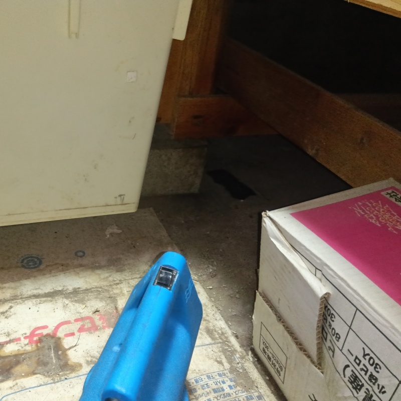 噴霧器で除菌剤を散布