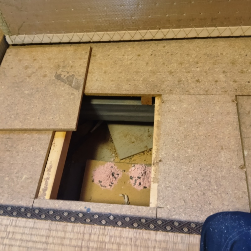 ネズミ駆除の施工事例（神奈川県小田原市久野）