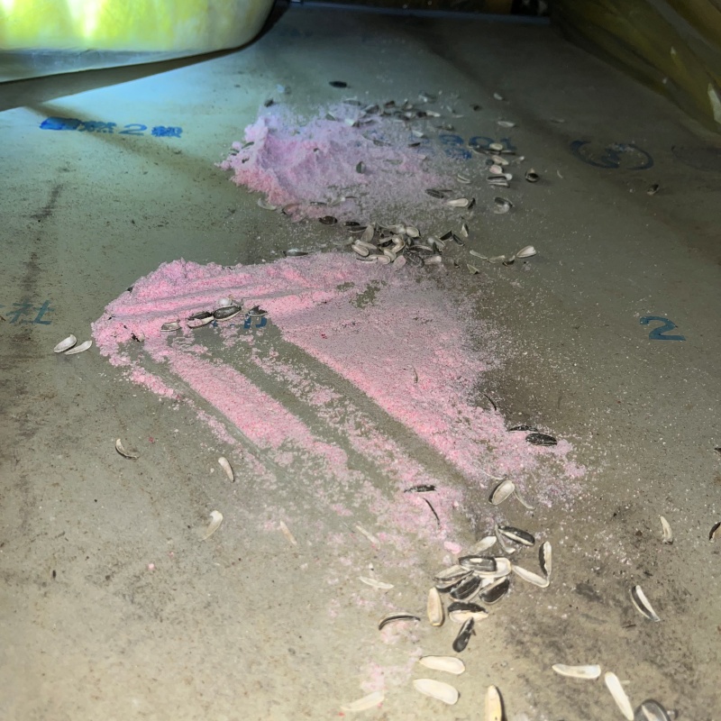 ネズミが殺鼠剤を食べたあと