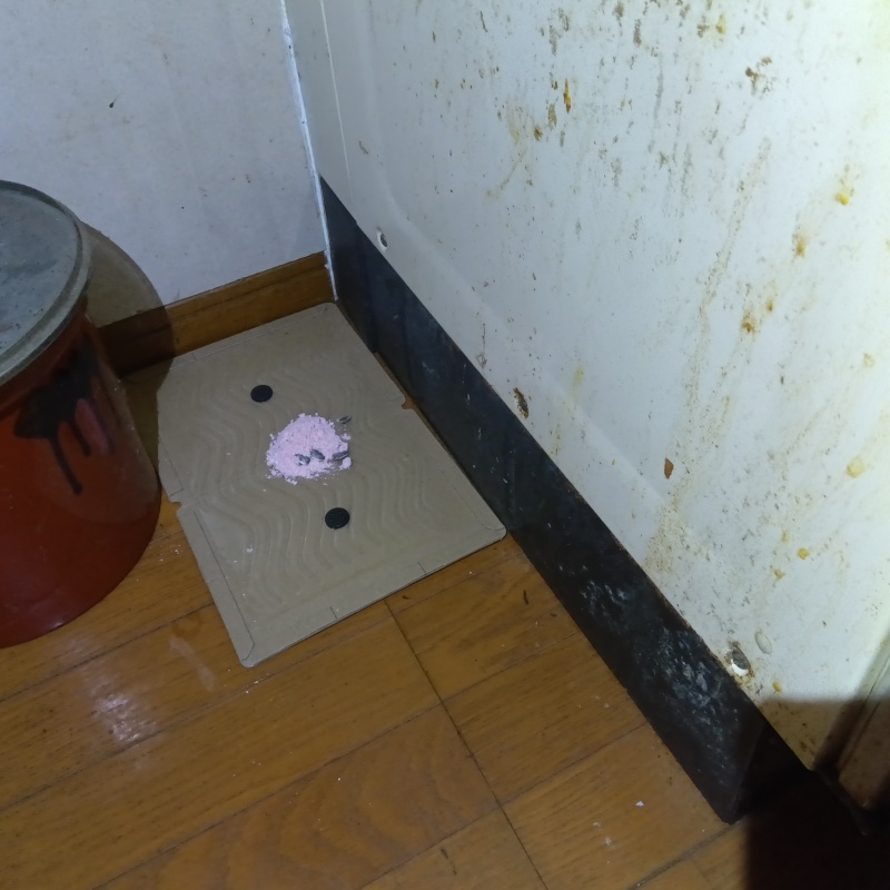 粘着シートの上に殺鼠剤を設置