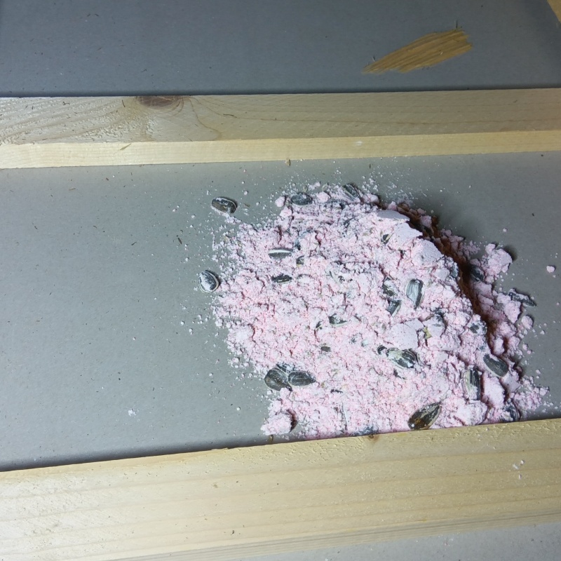 殺鼠剤を仕掛けている様子