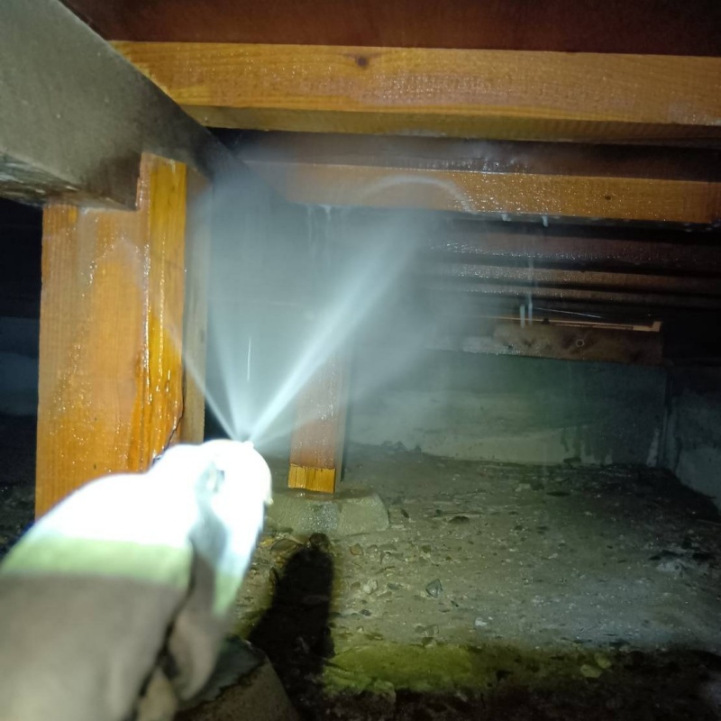 床下の木材にシロアリ駆除剤を散布する様子