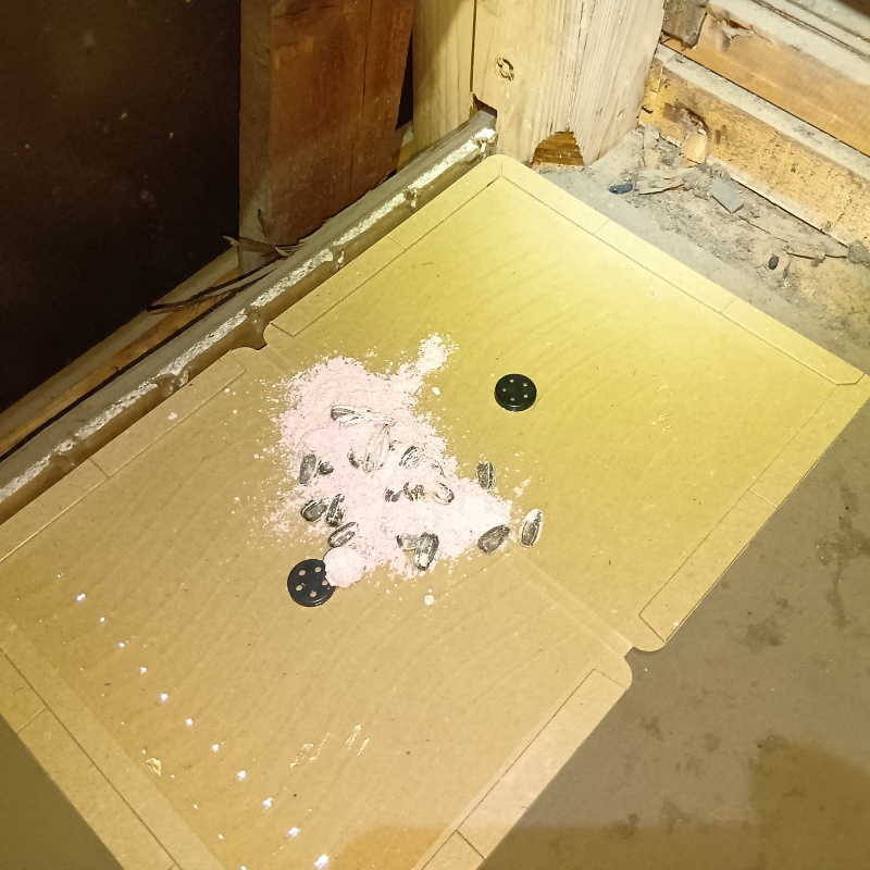 粘着シートの上に殺鼠剤を設置