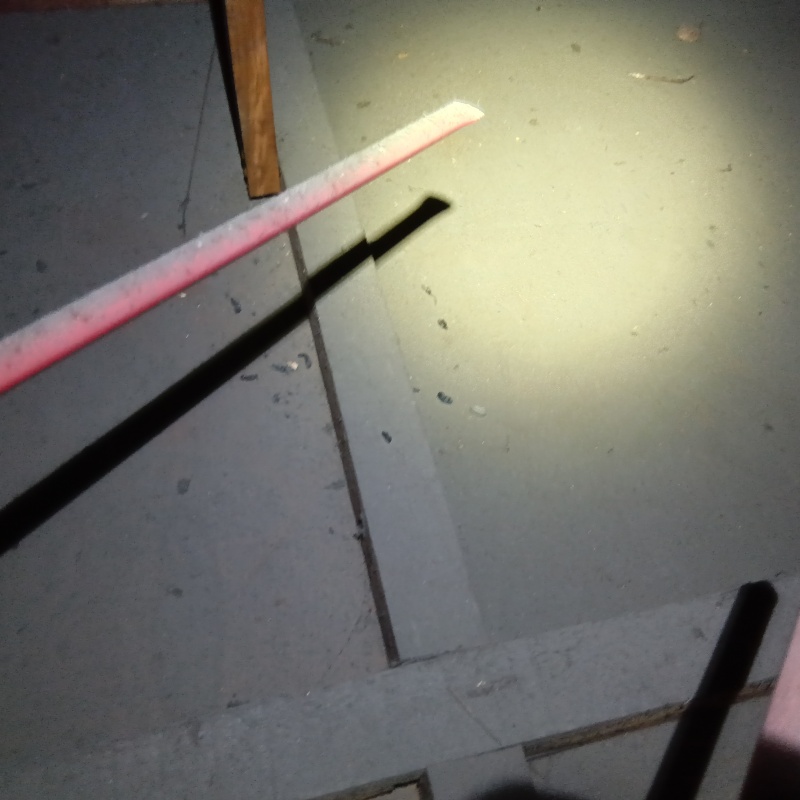 ネズミのフンが散らばっている様子