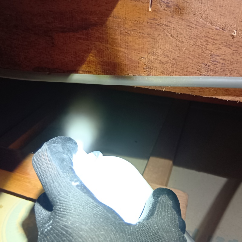 忌避剤を吹き付けている様子