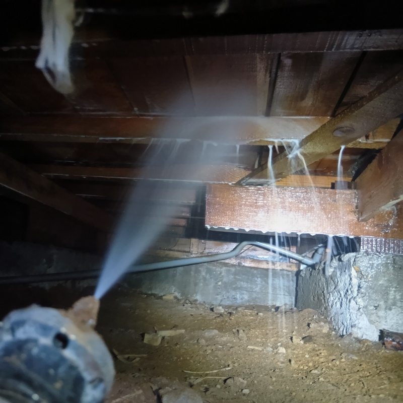 床下の木材にシロアリ駆除を散布する様子