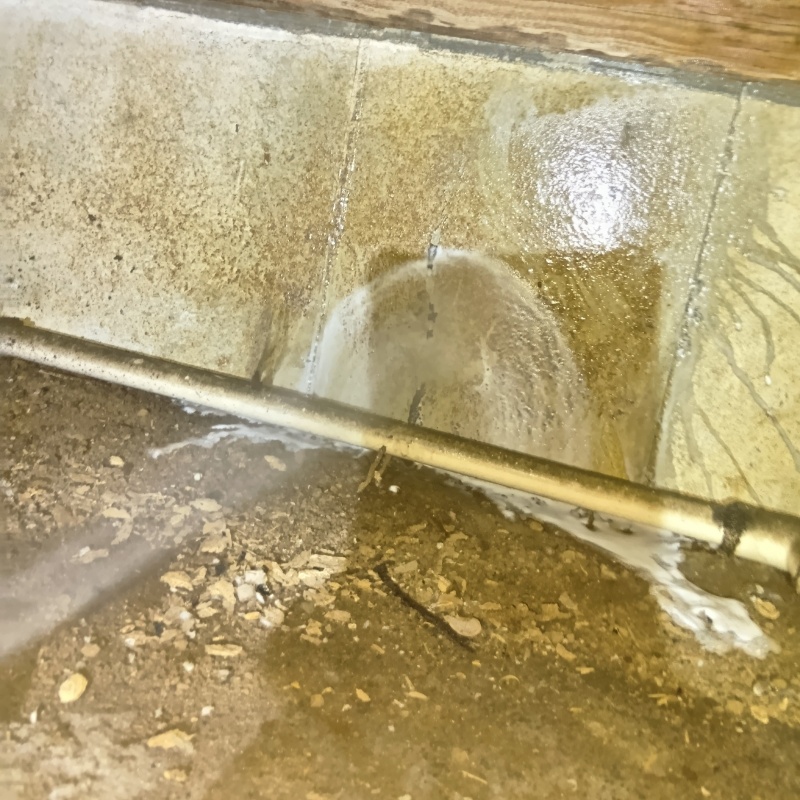 床下の基礎部分にシロアリ駆除剤を散布する様子