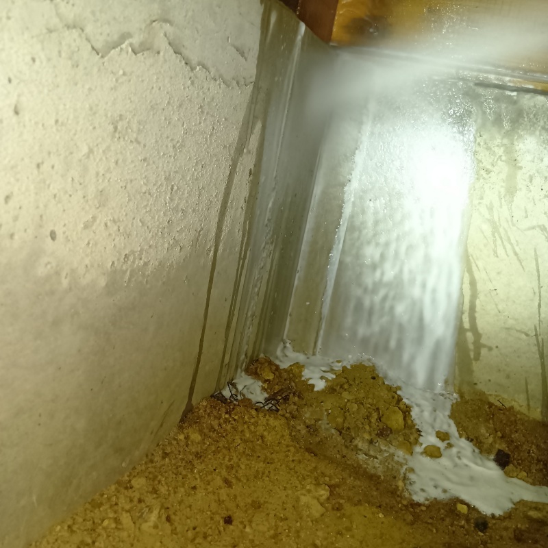 床下の基礎部分にシロアリ駆除剤を散布する様子