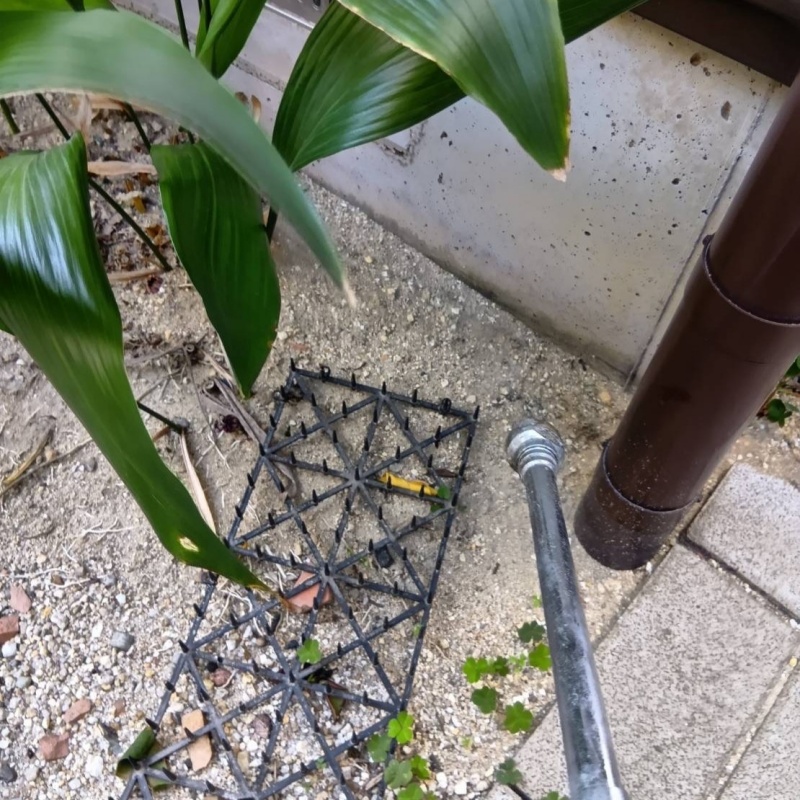基礎まわりにシロアリ駆除を散布する様子