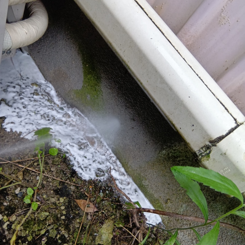 建物外周の土壌にシロアリ駆除剤を散布