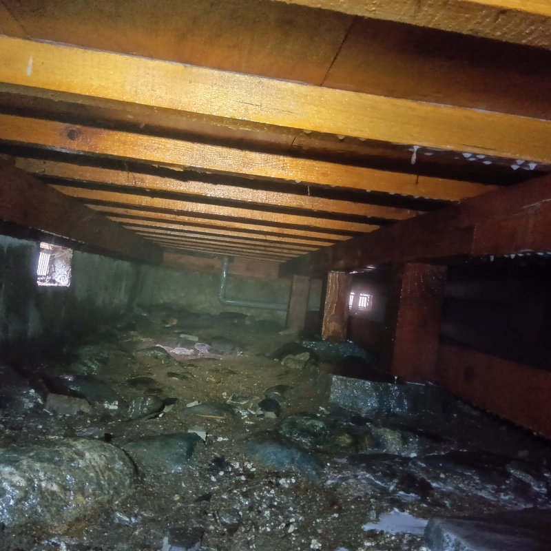 床下の地面・基礎にシロアリ駆除剤を散布