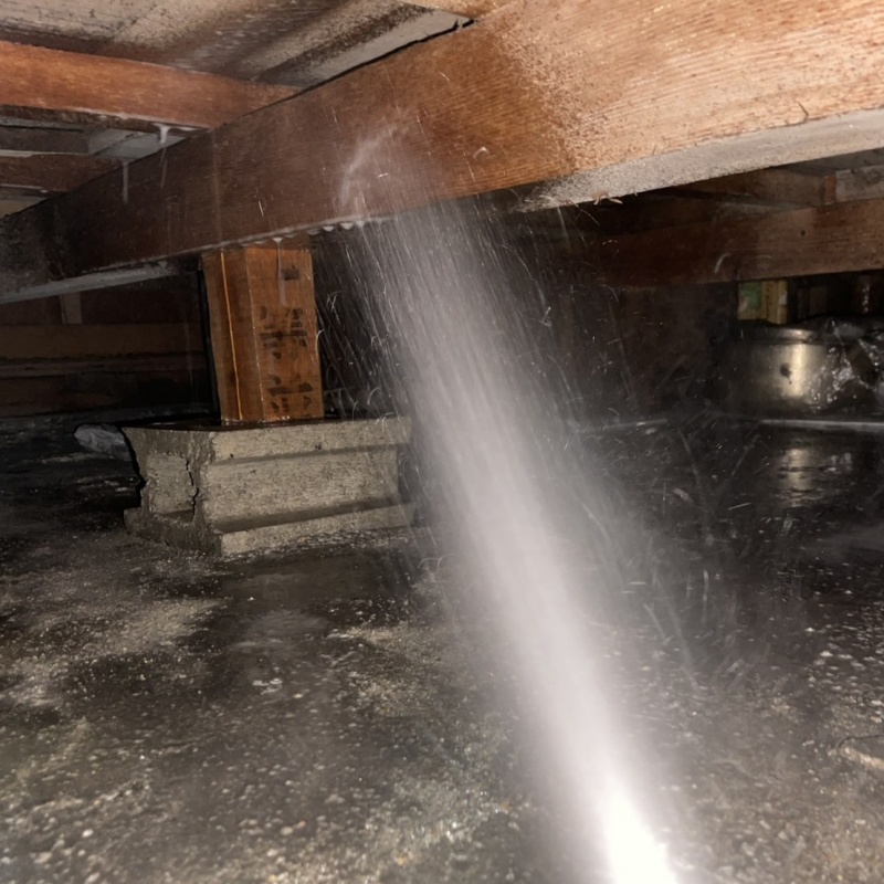 築年数44年のシロアリ駆除の施工事例（愛知県名古屋市中村区藤江町）