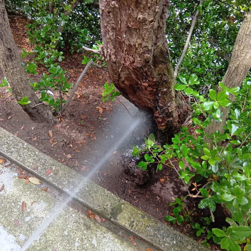 築年数40年のシロアリ駆除の施工事例（神奈川県藤沢市鵠沼桜が岡）