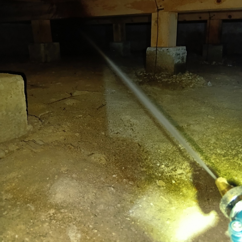 床下の基礎部分にシロアリ駆除剤を散布する様子