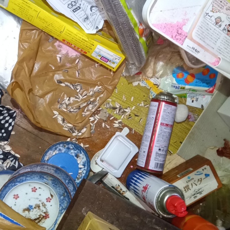 殺鼠剤が食べられたあと