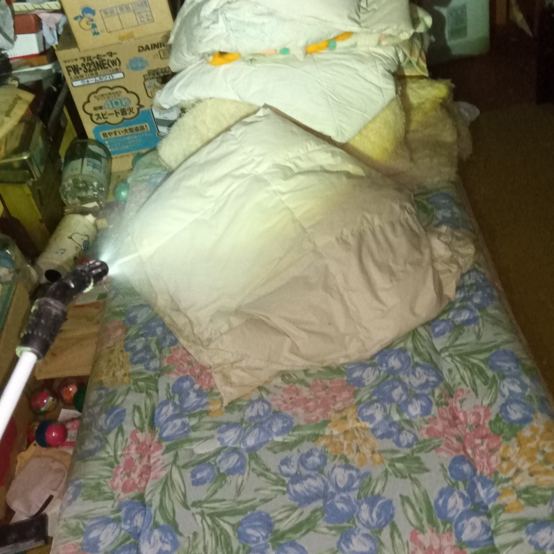建物全体に除菌剤をスプレー