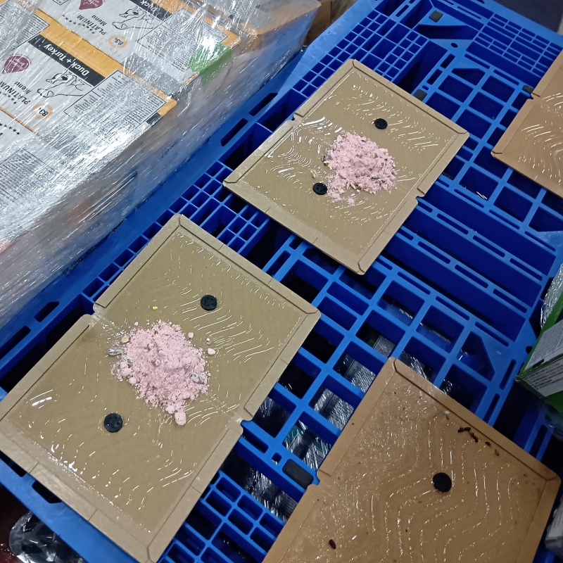 殺鼠剤と粘着シートを並べて設置