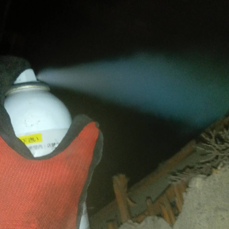 屋根裏に忌避剤をスプレー